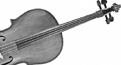 Cello